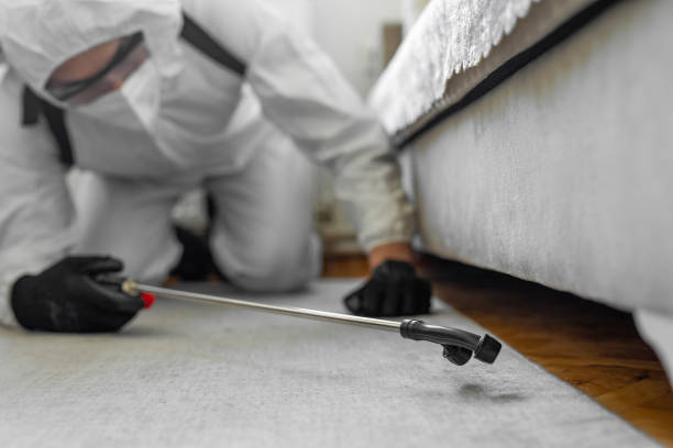 Professional Termite Control technician working in Broussard, LA