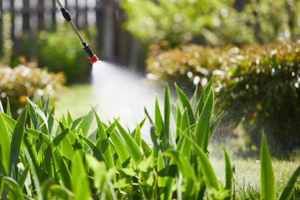 24/7 Emergency Termite Control experts in Broussard, LA