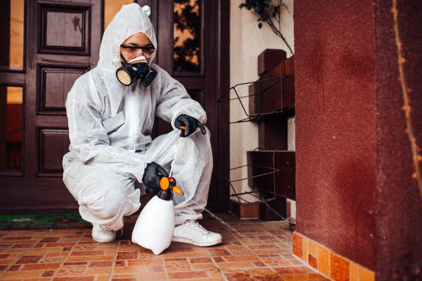 Reliable Termite Control contractor in Broussard, LA by Nex Pest Control