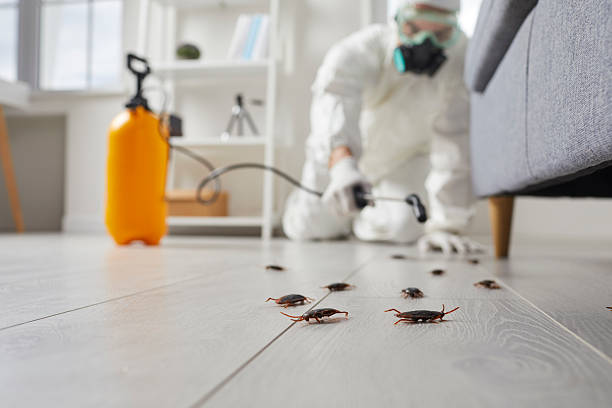 Trusted Termite Control service in Broussard, LA - Nex Pest Control