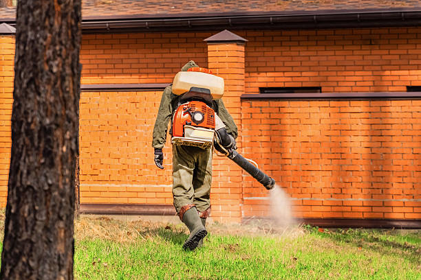 Trusted Mosquito Control service in Broussard, LA - Nex Pest Control
